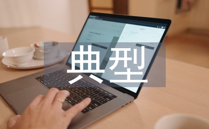 典型案例剖析材料