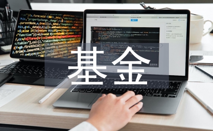 基金調查報告