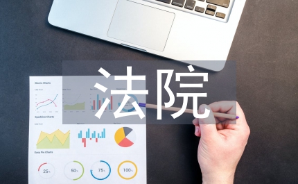 法院任職報告