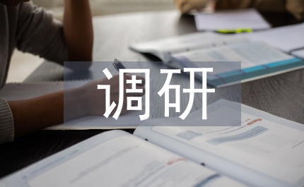 調研全面小康新農村建設時的講話